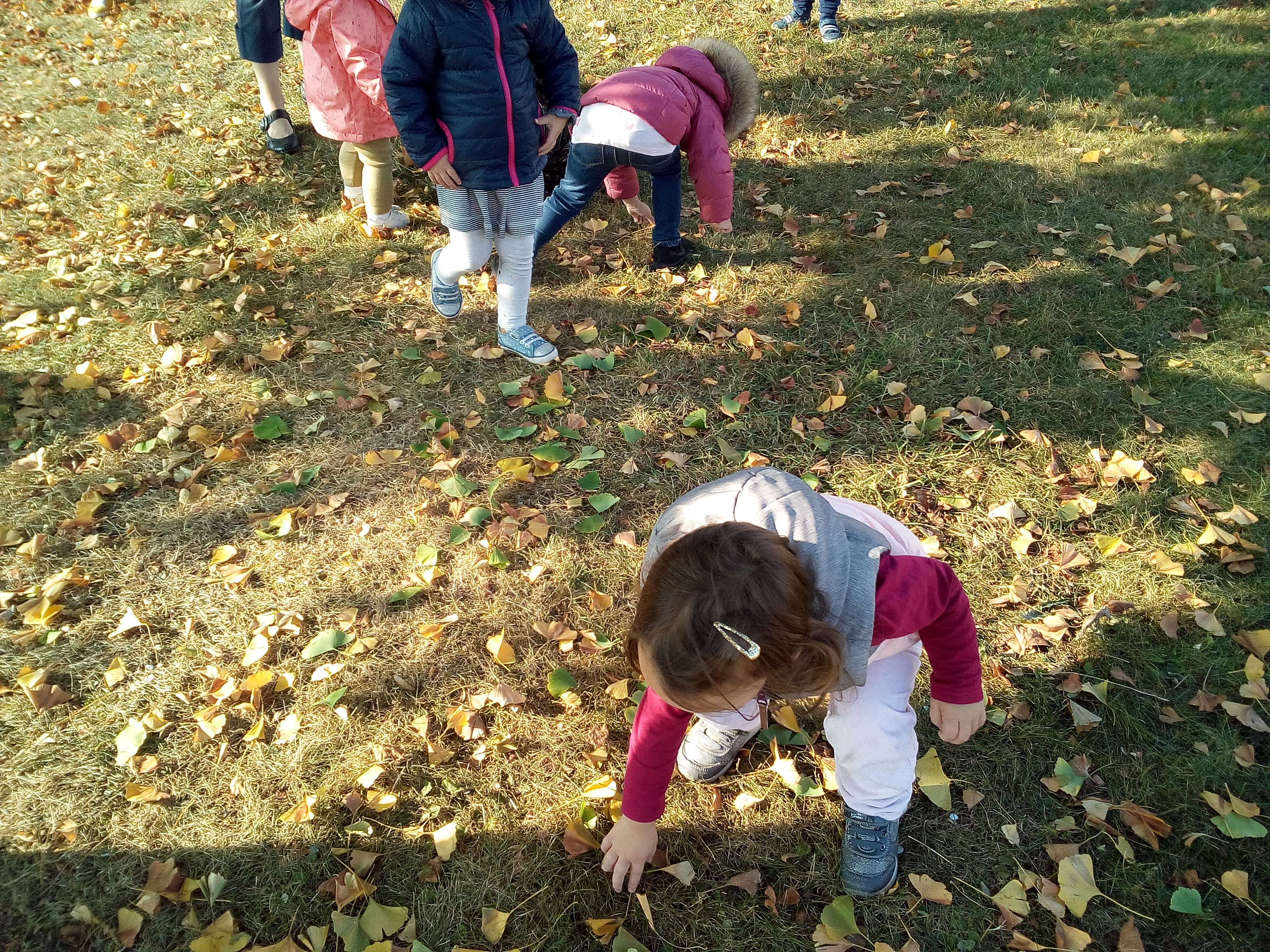 Des enfants ramassent des feuilles dans un parc à Thoiry