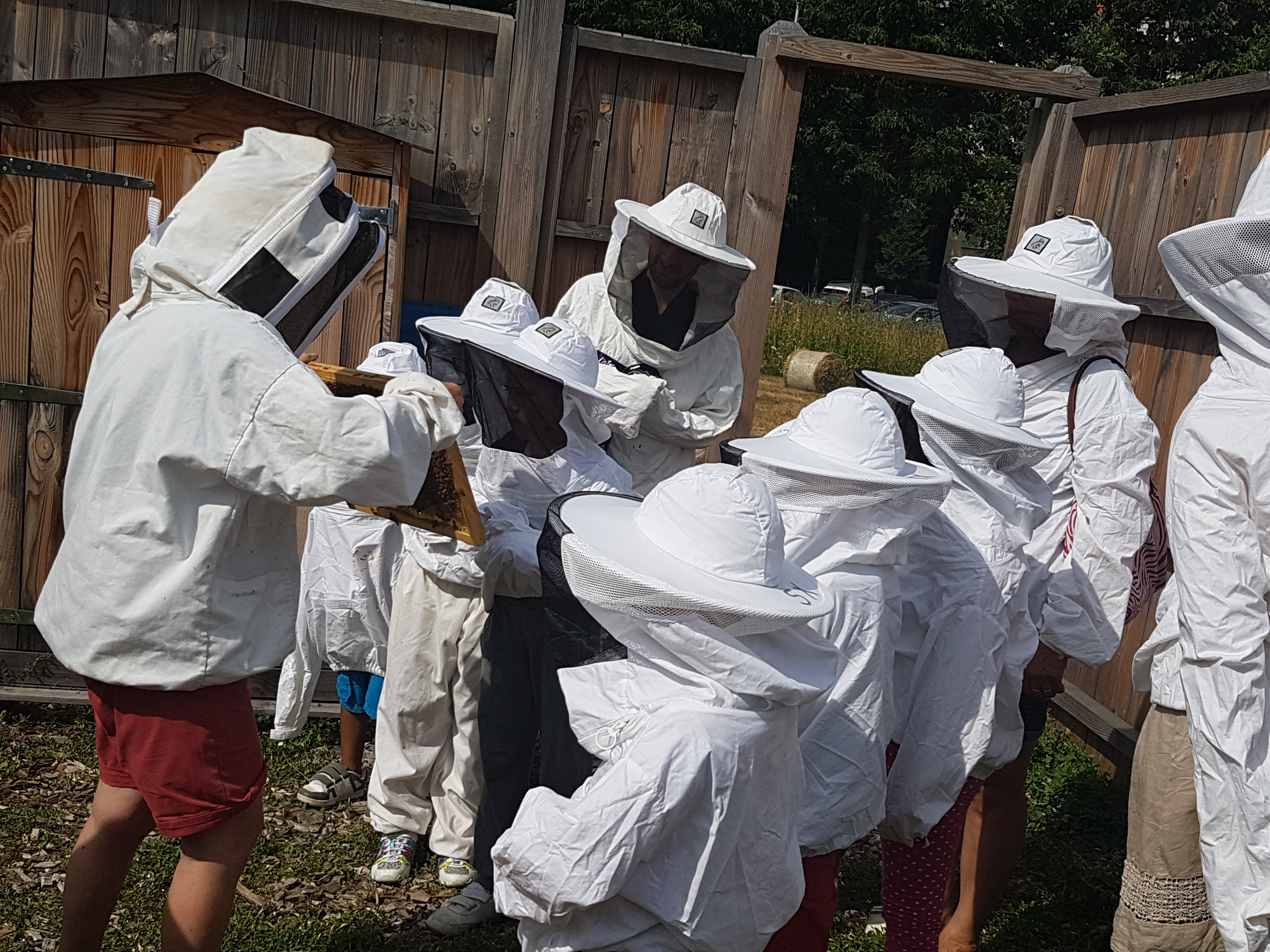 Des enfants en tenue d&#039;apiculteur lors d&#039;un atelier sur les abeilles