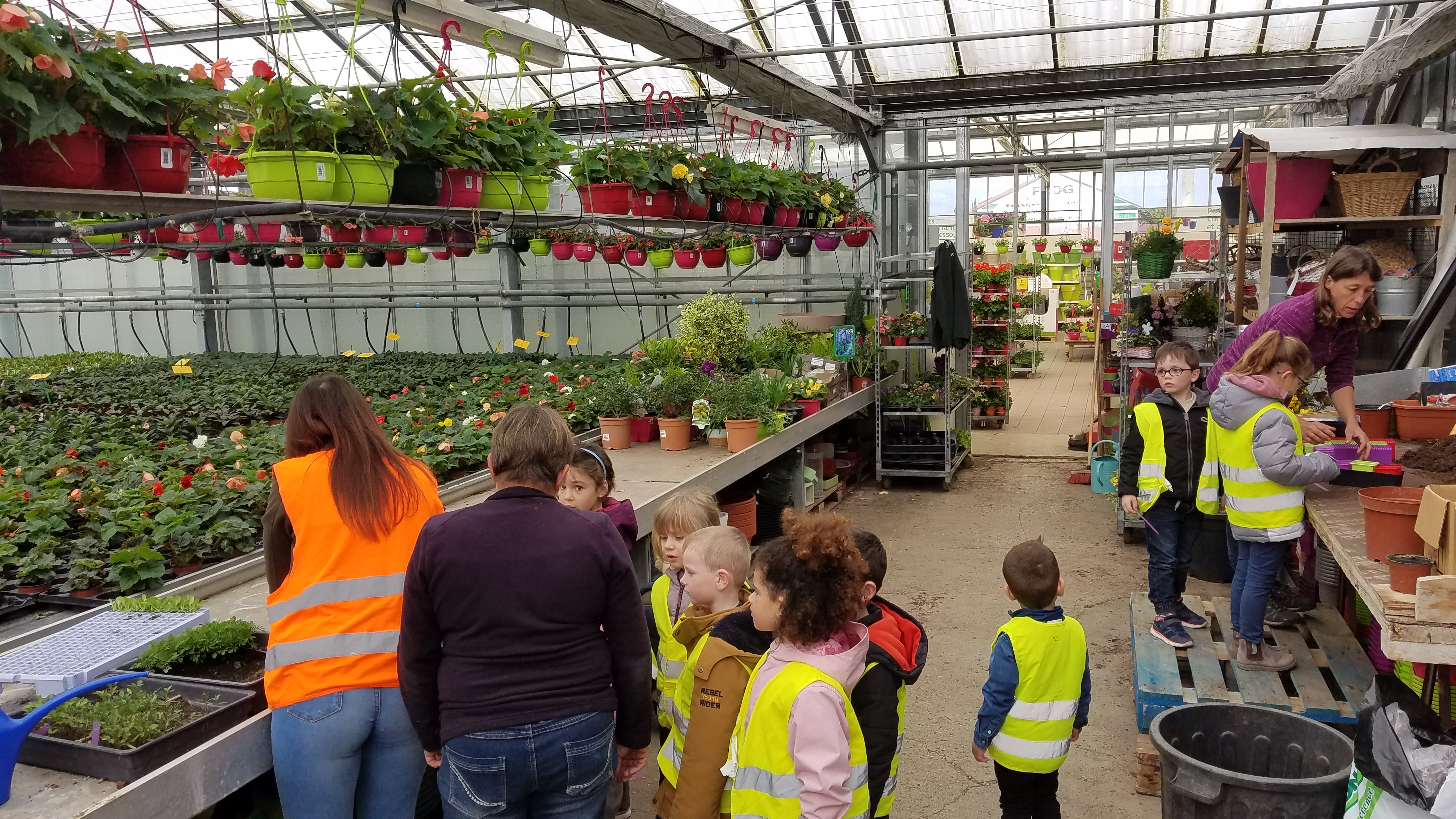 Des enfants et animateurs en train de découvrir une serre. On voit des bacs de plantes et des pots