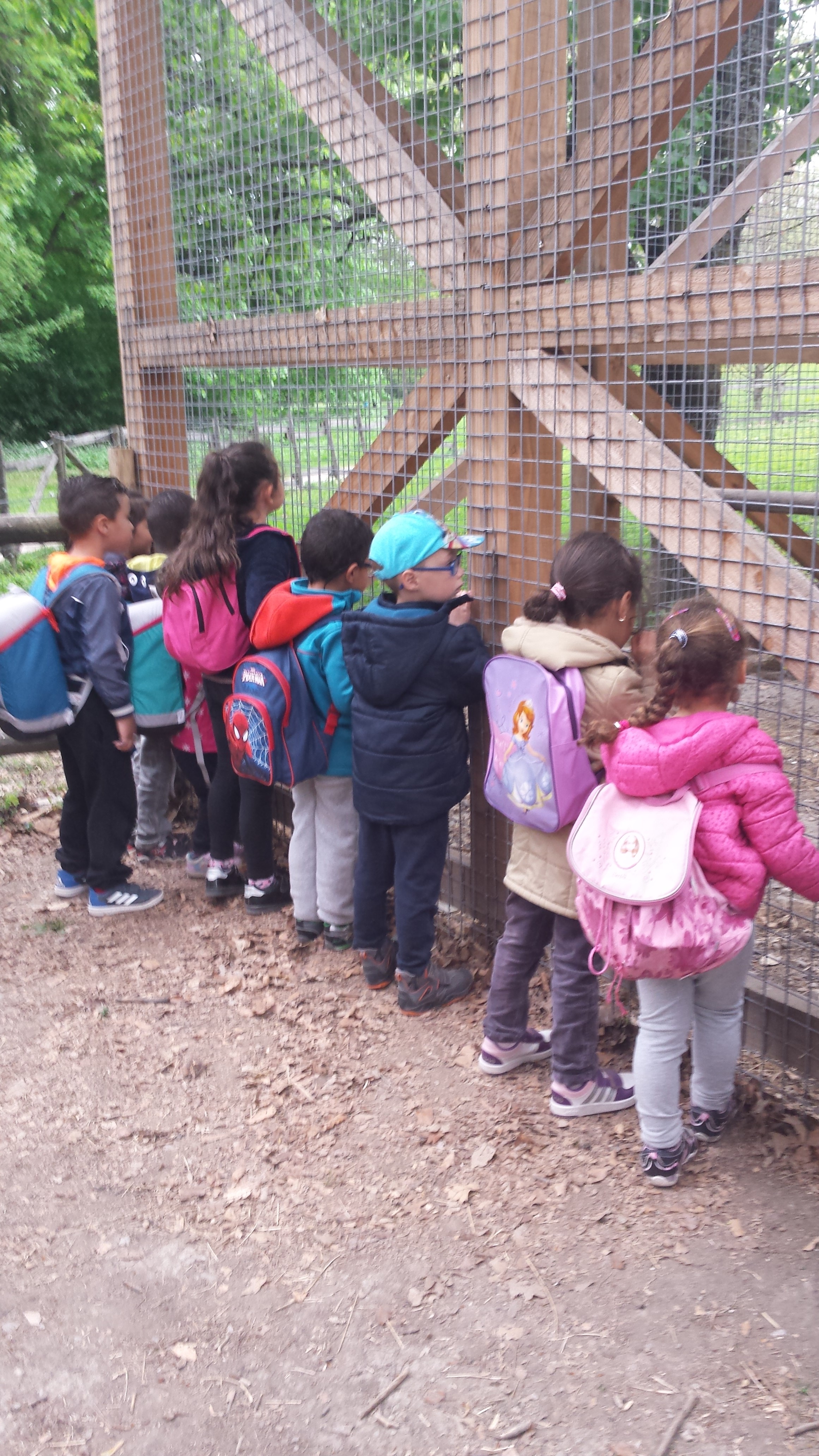 Un groupe d&#039;enfants devant une cage au zoo