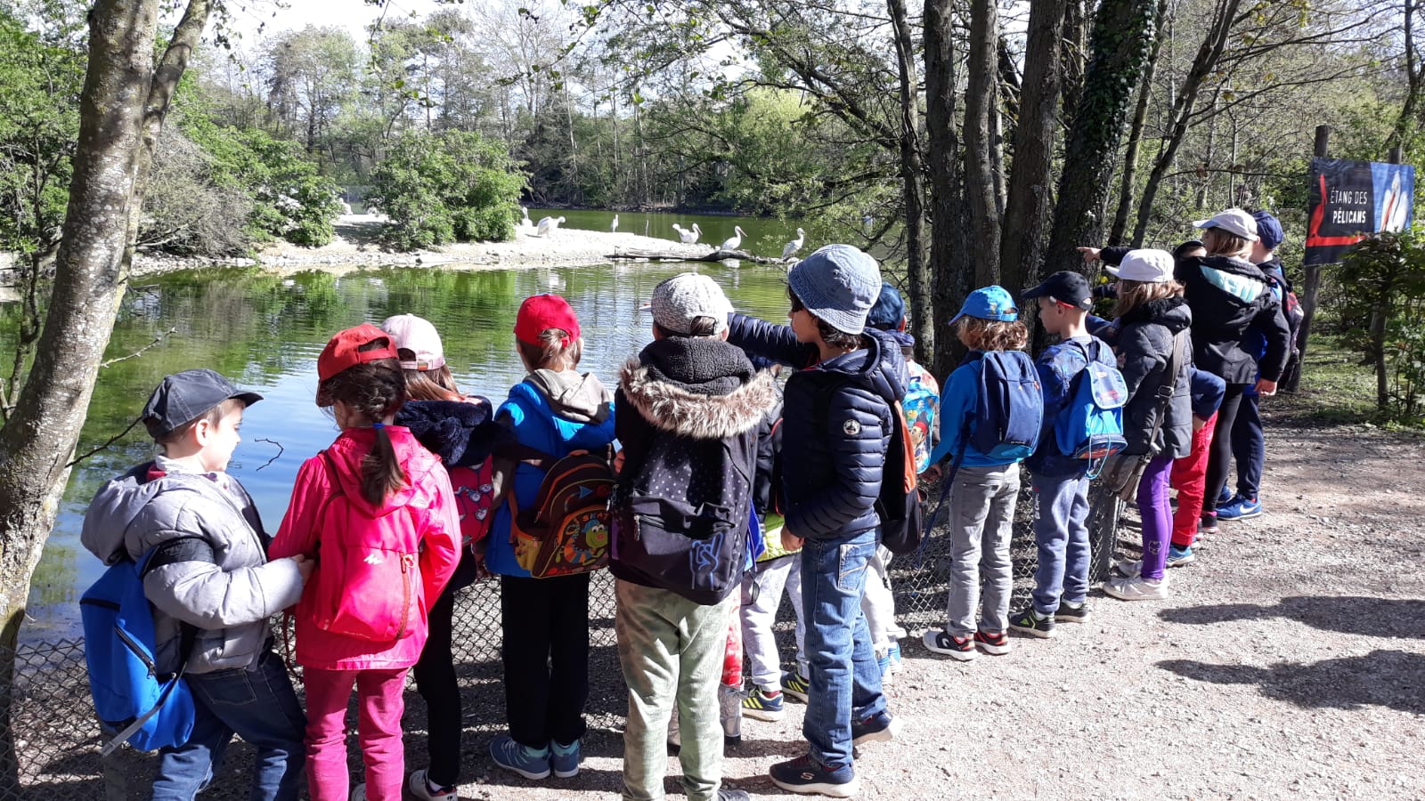 Groupe d&#039;enfants devant un lac
