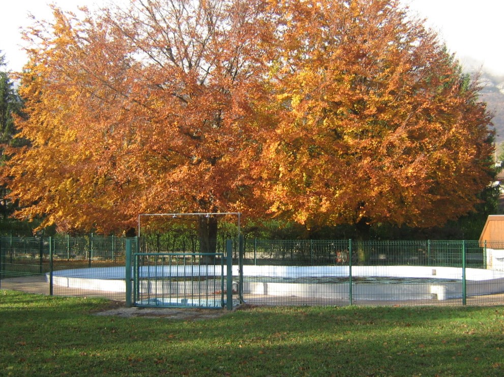 Présentation de la piscine