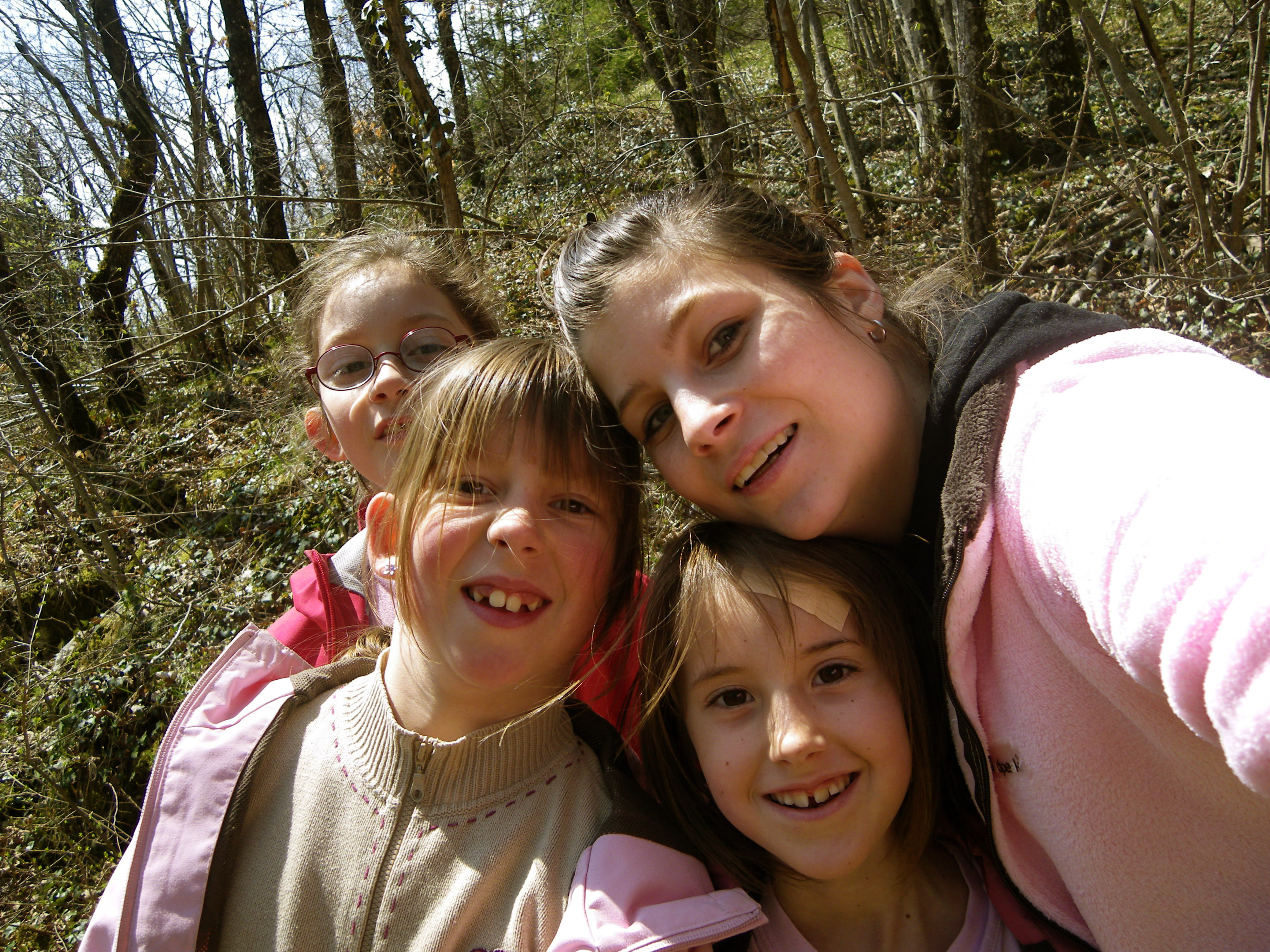 Un groupe d&#039;enfants en promenade dans les bois