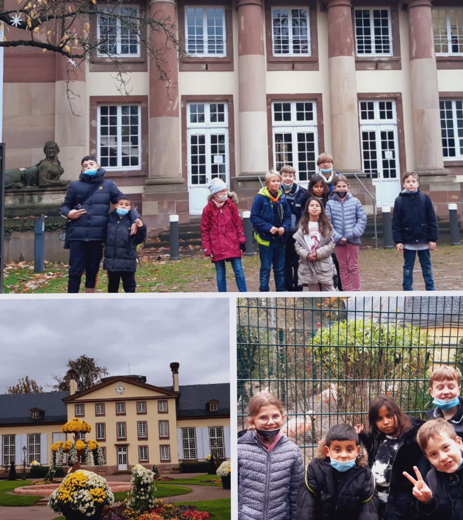 Visite du parc de l’orangerie de Strasbourg