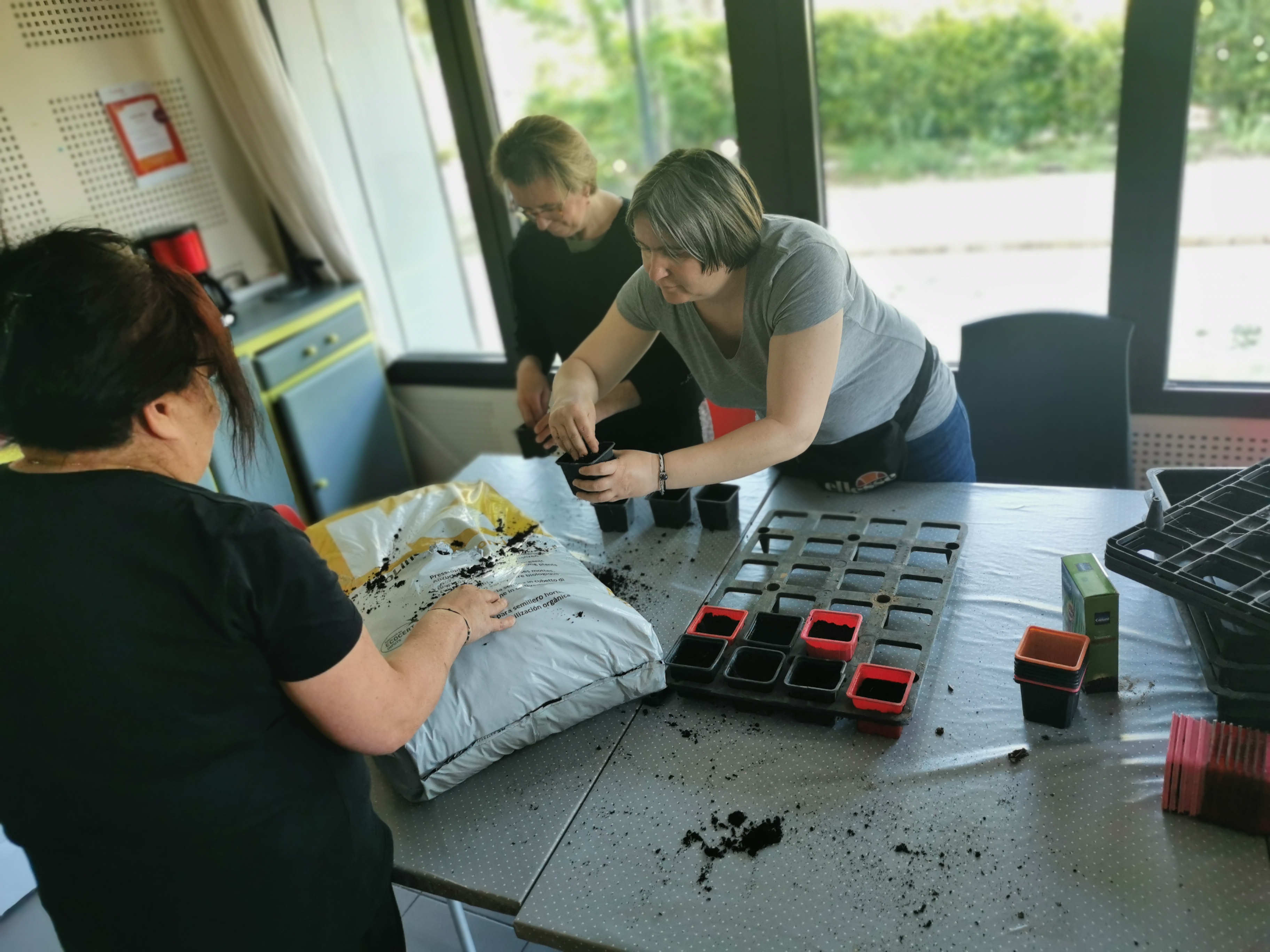 Trois bénévoles préparent des pots et boutures dans une salle de la résidence