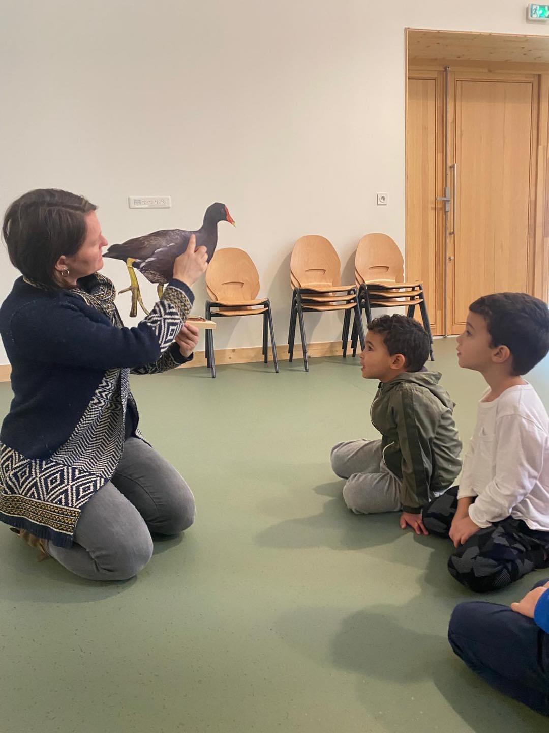 enfant présentation oiseau