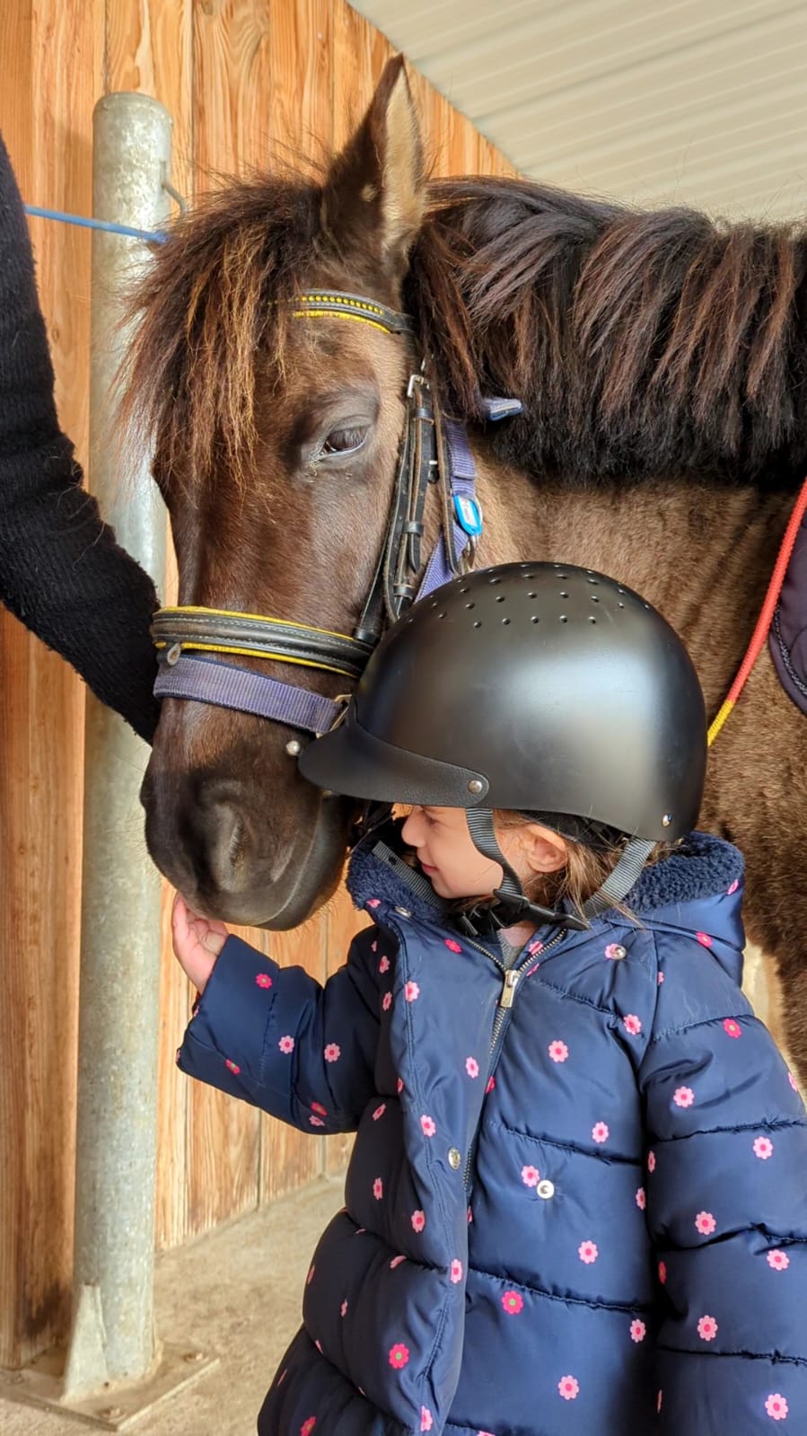 Enfant qui caresse un poney lors de la parenthèse équestre 