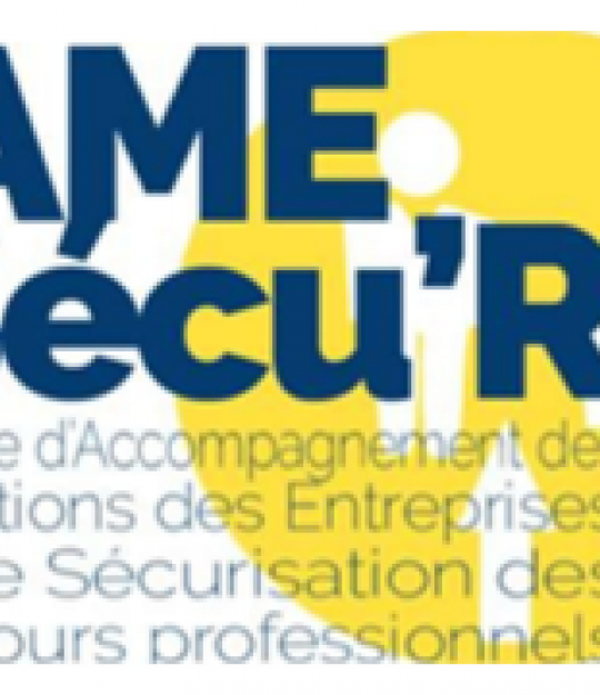 Logo SAME SECU'R Logo same secu'r - Service accompagnement des mutations des entreprises et de sécurisation des parcours professionnels