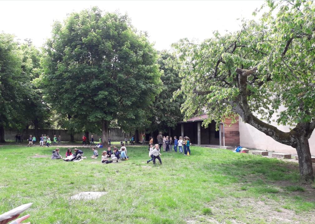 Des groupes d'enfants qui jouent à l'extérieur dans un parc arboré