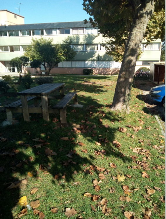 Vue du batiment et de l'espace arboré, avec un banc de pic nic