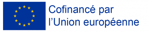 Logo du FSE